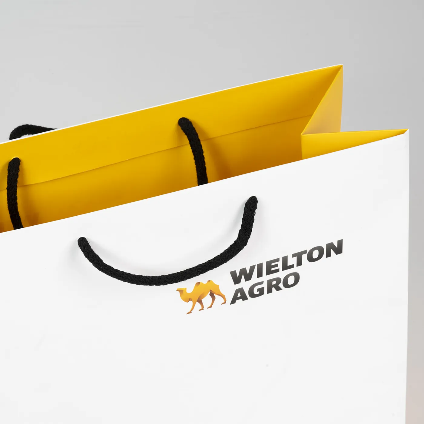 Torba papierowa z nadrukiem - Wielton Agro